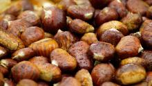 chestnuts-g9ab199828_1920