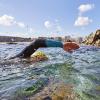 EsportsAquaticsiAventura