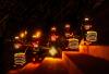 PERCULIGHTS_BRCD-1-scaled