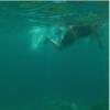 act-aquatiques-immersio-copia