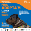 adoptam