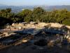 cultura-puig-2