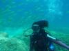 diving