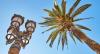 lloret-imatges17