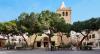 lloret-imatges36