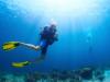 submarinism_lloret