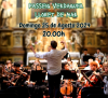 the-youth-orchestra